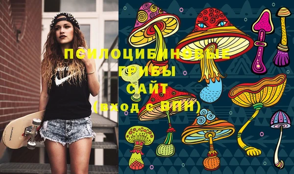 PSILOCYBIN Балахна